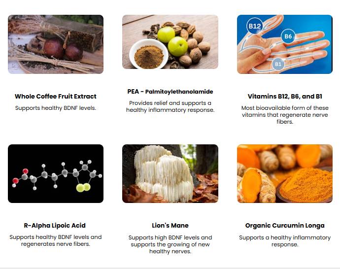 NuNerve Supplement Fact